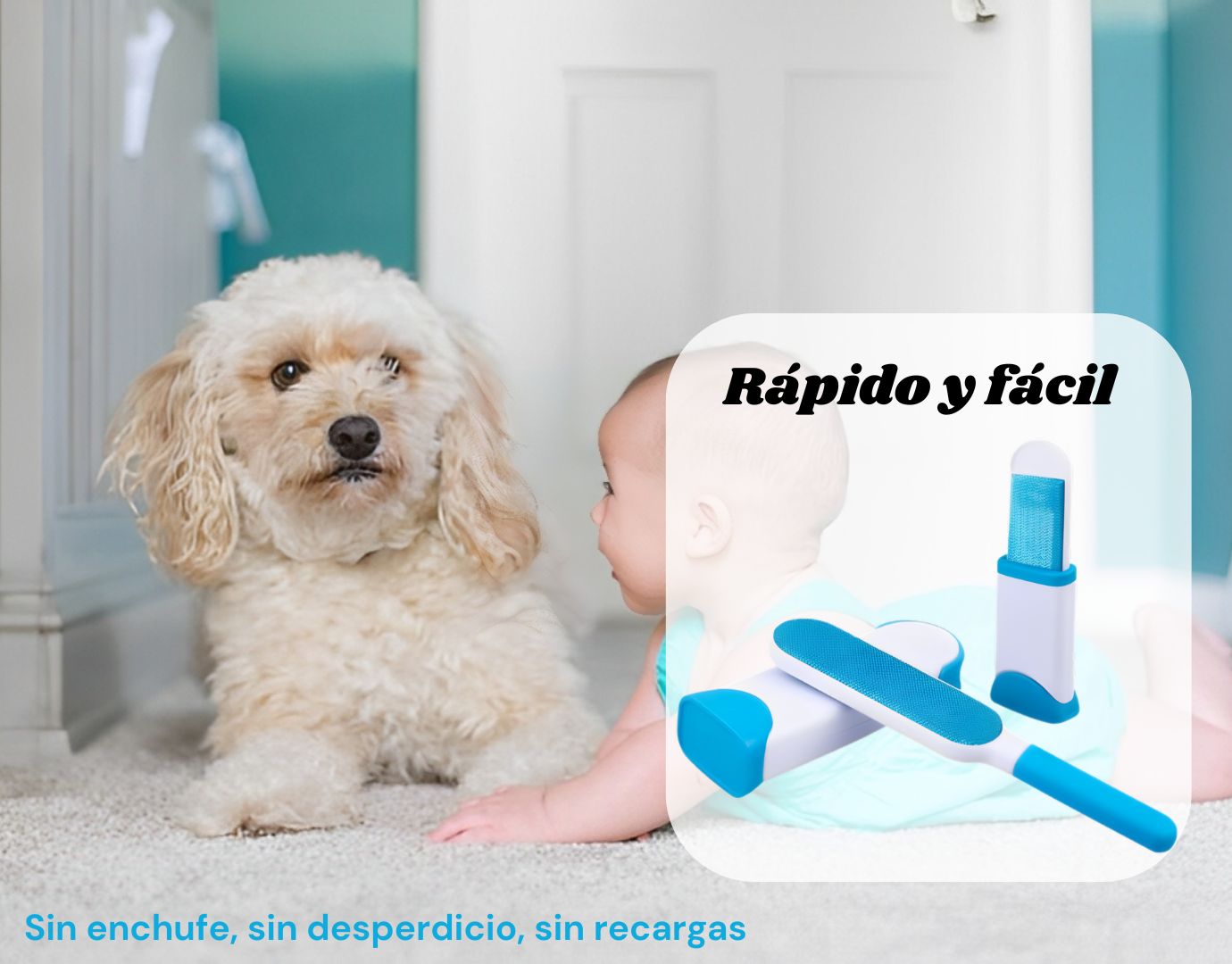 Pack de 2 cepillo mascotas（1 grande + 1 pequeño）